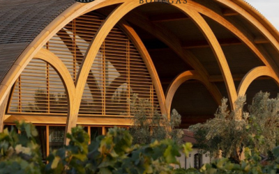 Faustino hlýtur titilinn Evrópsk víngerð ársins 2025